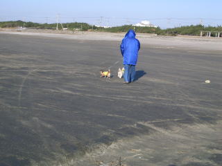 ��\�㗢�l�r�[�`���C��