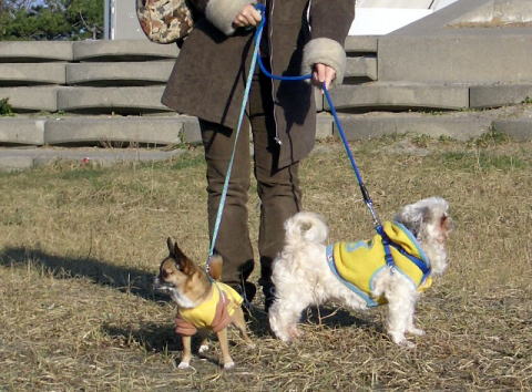 �����ӂꂠ���L��