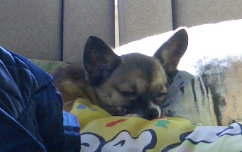 �Ԑ����̃}��